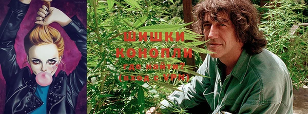 эйфоретик Белокуриха
