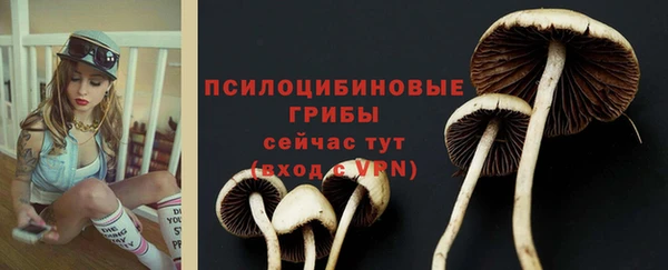 гашишное масло Богданович